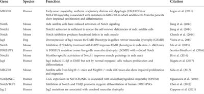 Implications of notch signaling in duchenne muscular dystrophy